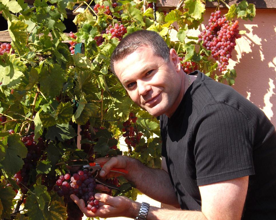 בבלנהיים B&B Le Clos Des Raisins מראה חיצוני תמונה